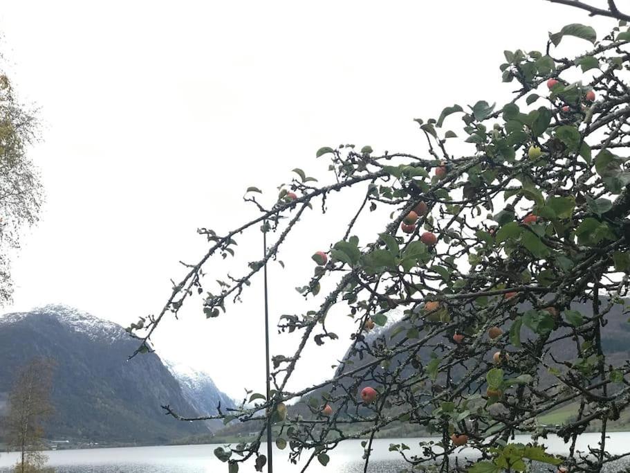 Apartment With Lake View In Jolster Årdal 외부 사진